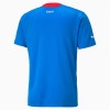 Goedkope IJsland Thuisshirt 2022